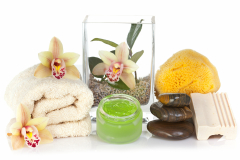Orchidea SPA